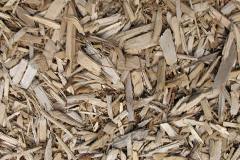 biomass boilers Mappowder